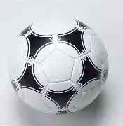 星光熠熠,全球代言人,胡智子闪耀,球速体育平台,球速体育官方网站,球速体育登录入口,球速体育app下载