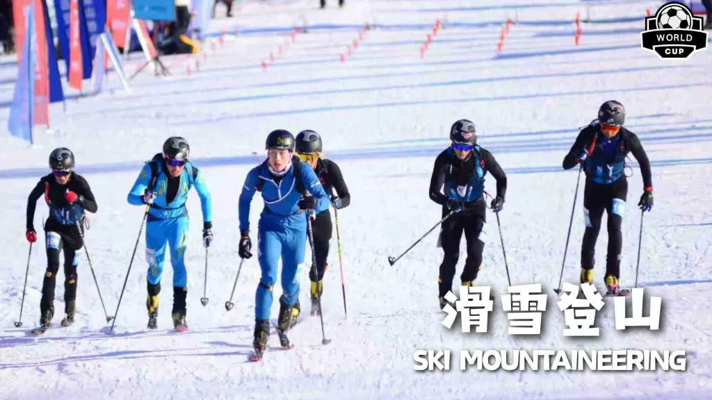 澳超晨场力,争胜利,深度剖析焦,球速体育平台,球速体育官方网站,球速体育登录入口,球速体育app下载