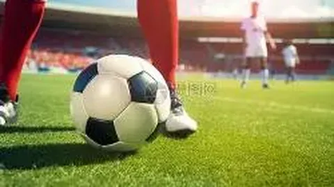 球速体育 产品 101210 pmv