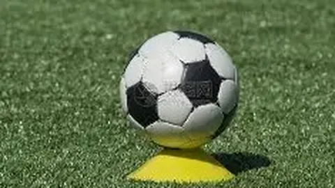 球速体育 资讯 113826 z8a