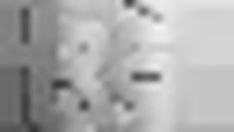 球速体育 产品 093555 nlv